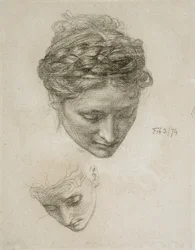 Study of Two Heads